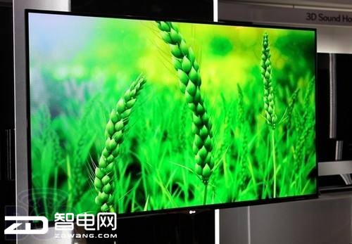 OLED3ӭ˳  Ϊ2017ʵҵı