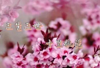 ��������ʮ���һ� �����Ѽ������Ƕ�����