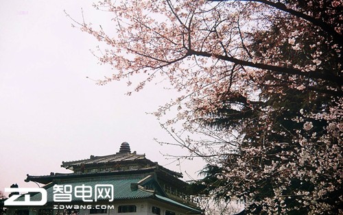 ̤ĺʱս񡱴ϸ˵ʮУһ