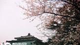 ̤ĺʱս񡱴ϸ˵ʮУһ