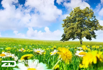 �������ս�񡱴�������ȥ����