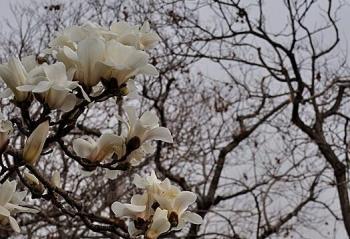 ��ǽ���߰���  �������������� ·�����ֻ�����   