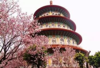 ��̳�ӻ��� Ů����Ӱ�����߱ر������ 