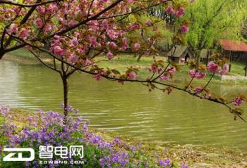 ϲ����Ӱ��С����и��� ���Ű���ȥ����