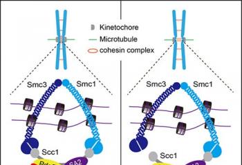 ���ơ�Ⱦɫ��������ԡ��ķ����ѵ�ֻ�ܿ���ս��