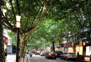 ����&Nvidia У԰�������ǡ��ɶ�������ͷ������У԰��