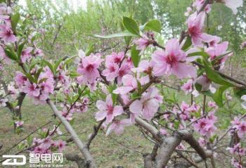 ���´���æ����  ���׷���Ե�������������