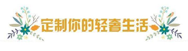 X55ݵ羺̬