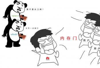 ��ΪP10�ڴ�������Ȼ��  ��OV�����ʵ������