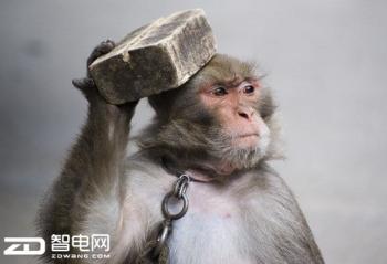 ������С��6û��ϵ������i3-7350K����DD-Pro����