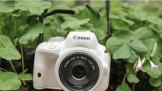 150D· 6D Mark II·