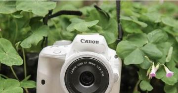 150D· 6D Mark II·