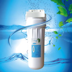 ��ˮ�г�����ࣺ��������۸񰺹�Ʒ�ƻ���