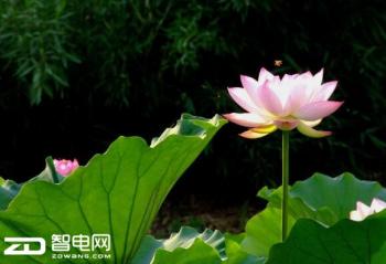 ���첻һ���ķ羰 ������������ķ羰 