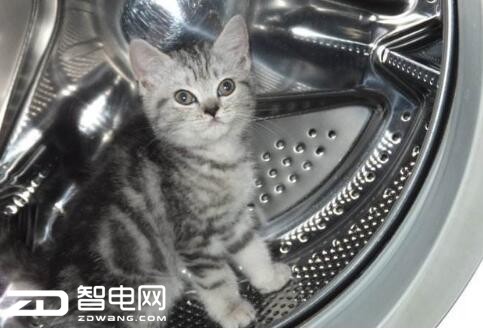 ϴ�»����ֺû��ǹ�Ͳ�� С����㿴������