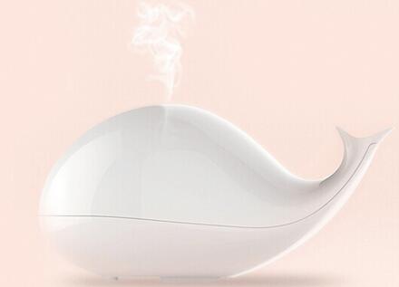 �ҵ簲ȫ���ݺ��� ��ʪ������Ҫ����