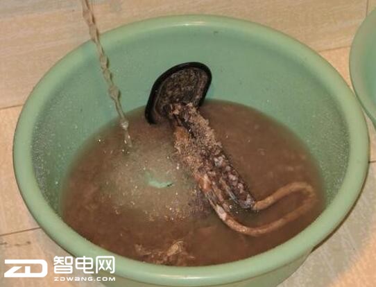 ˮ 㲻Ǯȥˮ
