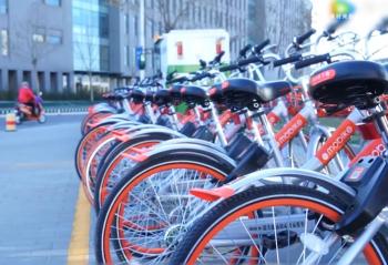 �Ժ������ƤƤϺ�ϰ��ˣ���������Ϻ��ɫ��������