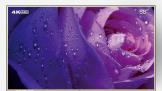 İ컹ǲWIFI ˺ͺҲܡתܵ   