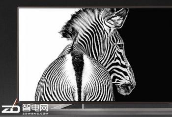 8090����Ǩ���¼� �۾�3.5m-4m��ѡ40Ӣ�����