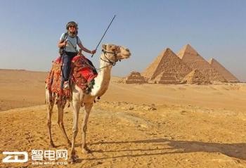 ʮһ��������� ������Щ�����Ʒ�ڼ���