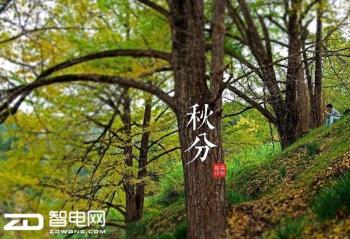 �����Ư�������Ϸ��̫���ˣ�������������ħT50��