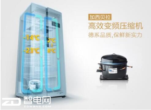 žڵ  TCL440㲻