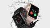 Apple WatchֵBug ѯͱ