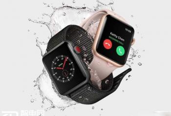 Apple Watch��ֵ�Bug ѯ�������ͱ���