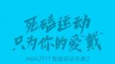 AMAZFITֱ2 Ӿģʽ
