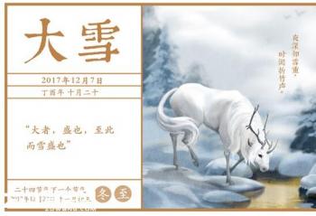 ��ʮ�Ľ�����ѩ �ڼ�����Χ¯�������Ȥ