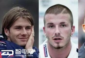 ���䶬������  �������������