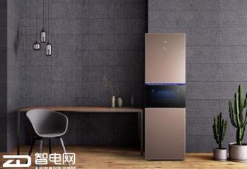 ������ֱʼ�֤���Ʒ�ƣ�TCL������ʥ���������ʱ�ϴ�