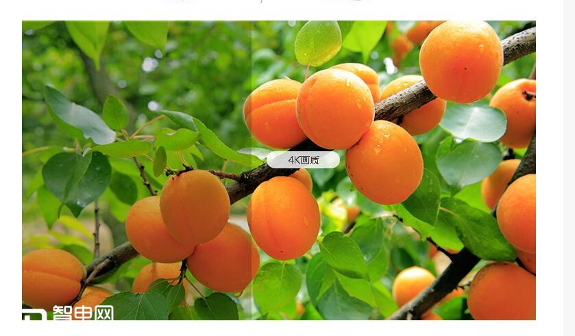 Ǿӭ 2018Լʢ  