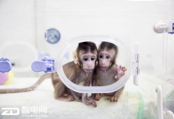 ����ǿ������    ���۾���T66������ʿ��ר���ʼǱ�