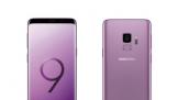 S9ϵۼع лΪԼ۱ѡ
