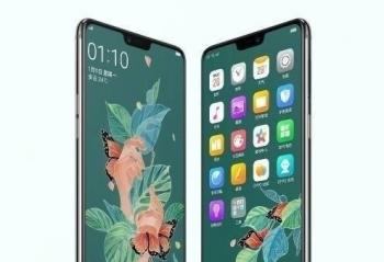 OPPO R15������������  ����ֵӵ�ж����ɫ