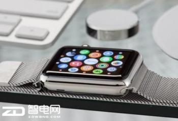 ����С���� Apple Watch�������ʧ��