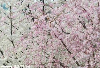 ����ʱ��̤����Ԩ̶  �������ֻ���ȫ�㶨�� 