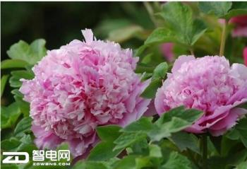 ��һȥ������ ĵ������������������������