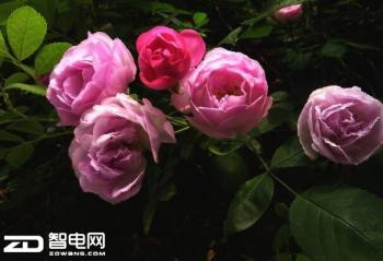 ������Ѱ��Ǿޱ �������˺���Ϳ��Գ����� 