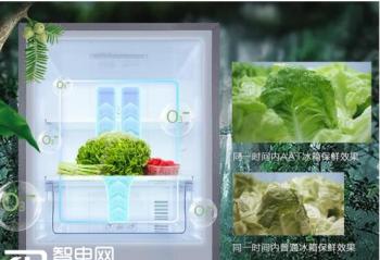 ���������һ�� TCL������˪���ű���1999Ԫ