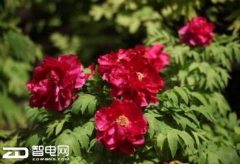 ��һ��������ȥ  �������ֻ���¼������˲��  