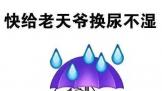 ٩磺ƻ滨΢Surface PhoneҪ