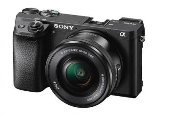 ѡ��һ���ᱡ΢������¼�������ö�̬