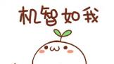 ٩磺iPhone˫˫ʵʽ16X