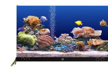 �ž�������  Ϊ��ĸ��̨65Ӣ��õ��� 