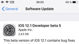  賿  iOS 12.1 ĵ Beta 汾·
