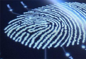 ȫ��Ļ��Ӧ������ ����������Ļָ�Ƽ���ר��