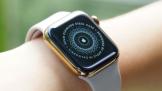 ΪWatch GT飺2ֱܳ